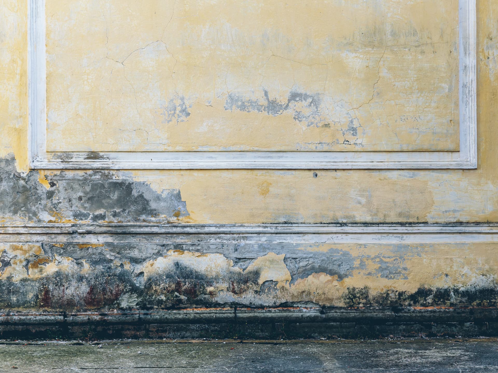 Black Mold Removal
