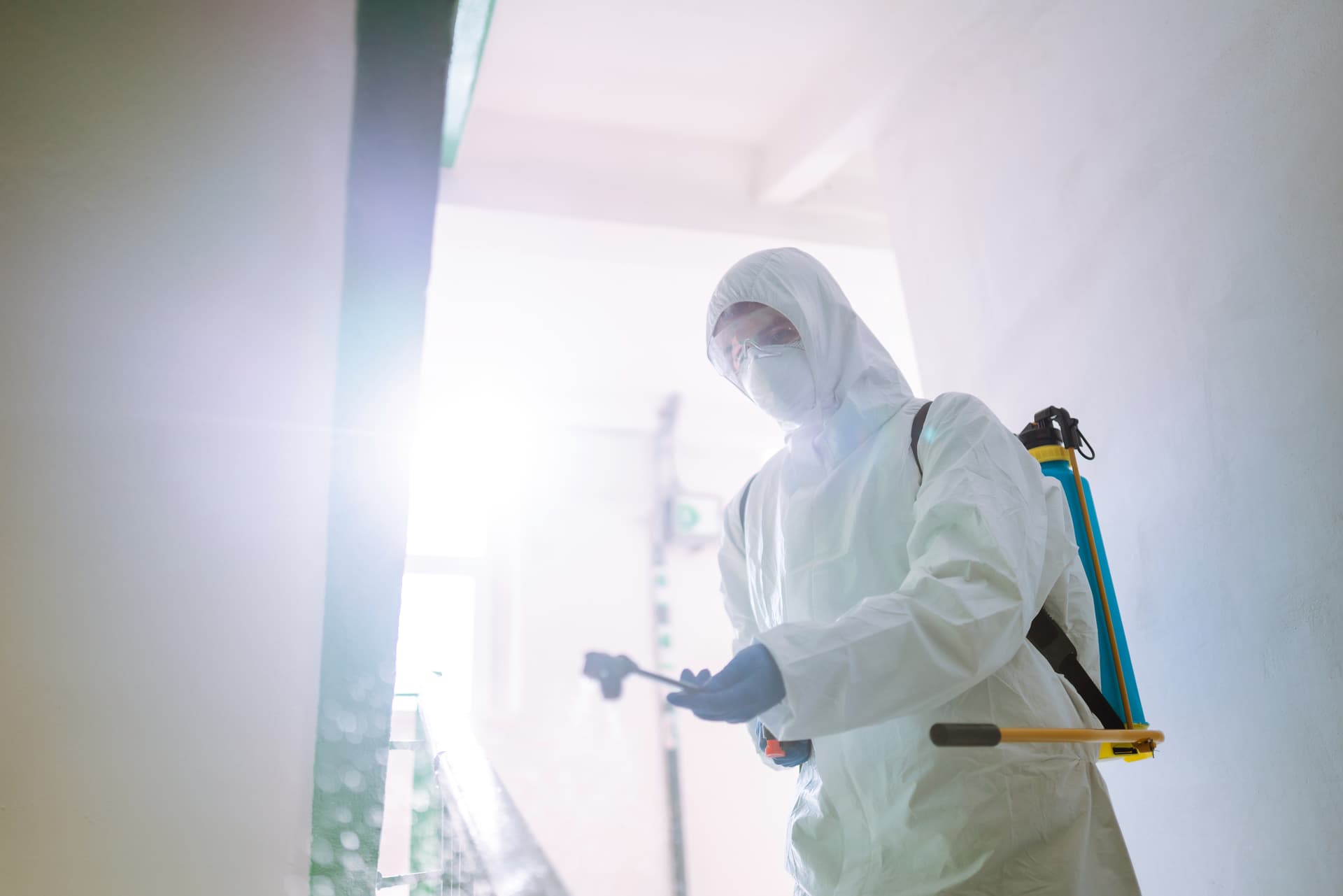 Residential Mold Services