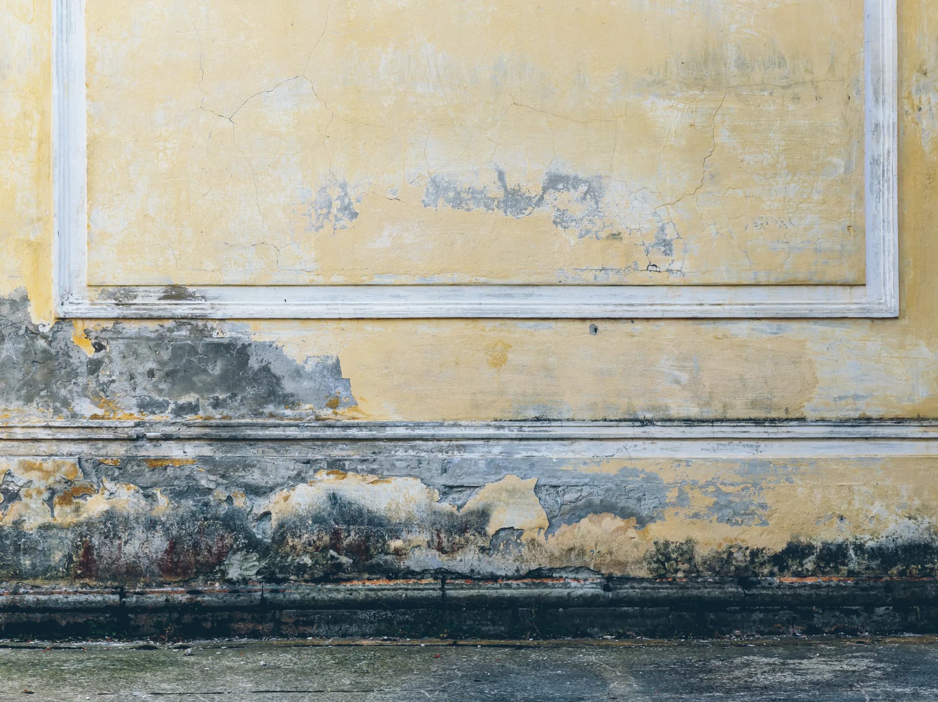 Black Mold Removal